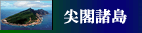 尖閣諸島をめぐる情勢