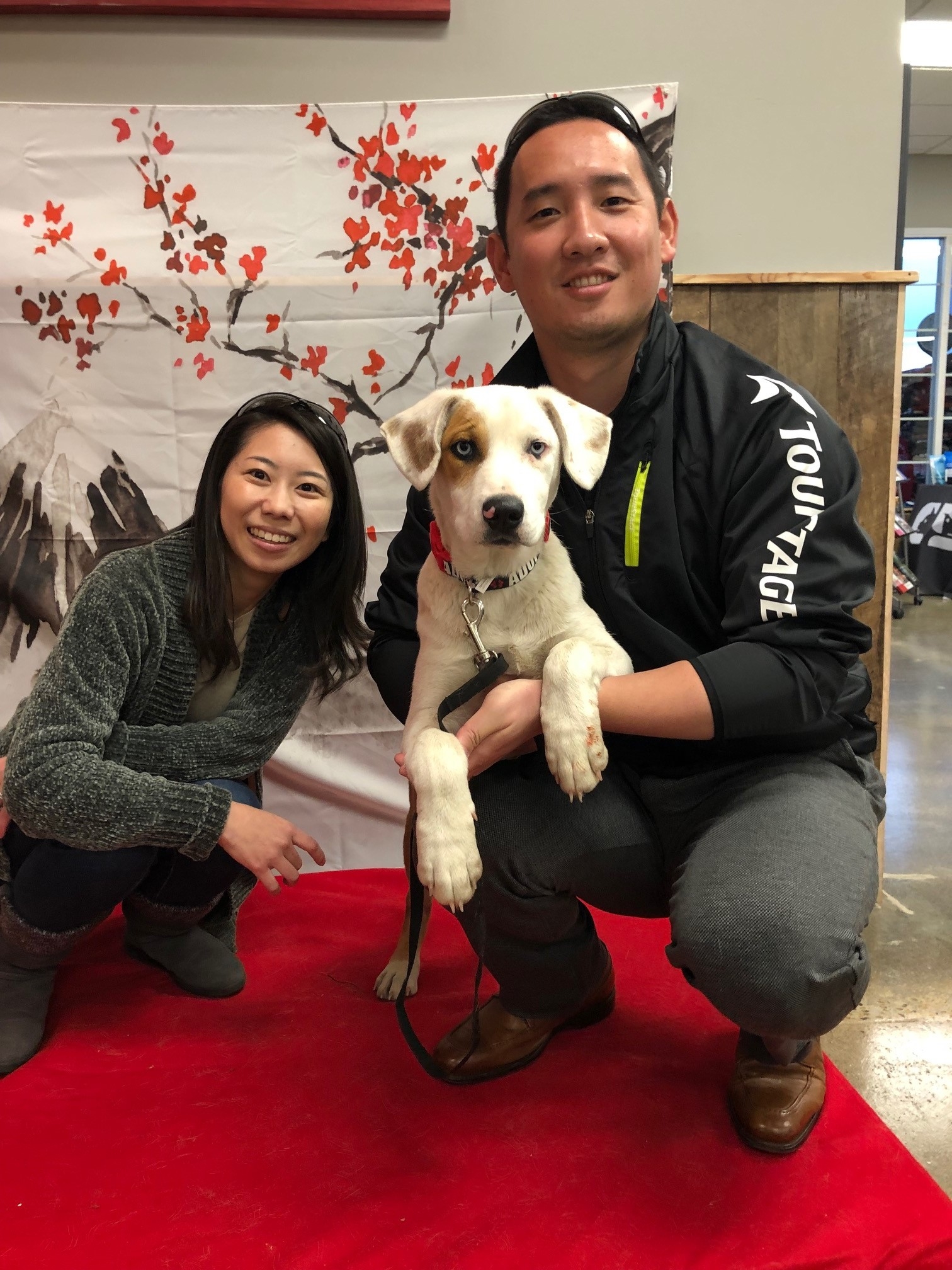 柴犬祭りの開催 結果概要 在デンバー日本国総領事館