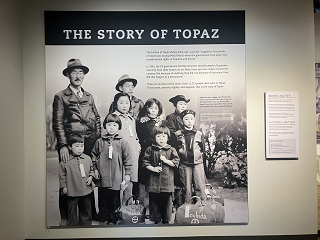 Topaz 1