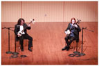 shamisen